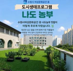 수원시여성문화공간 휴 나도농부 상자 텃밭 목록사진